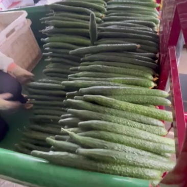 精品黄瓜