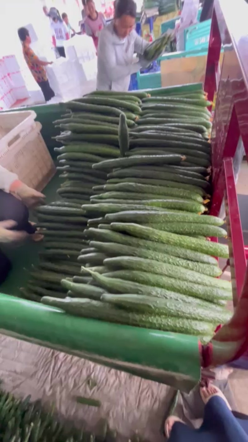 精品黄瓜