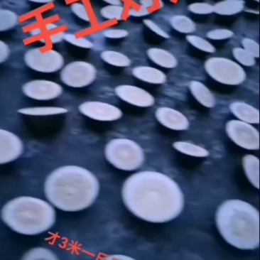 高山实枳枳壳