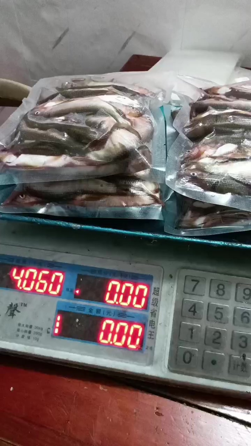 精品冰鲜桃花马口