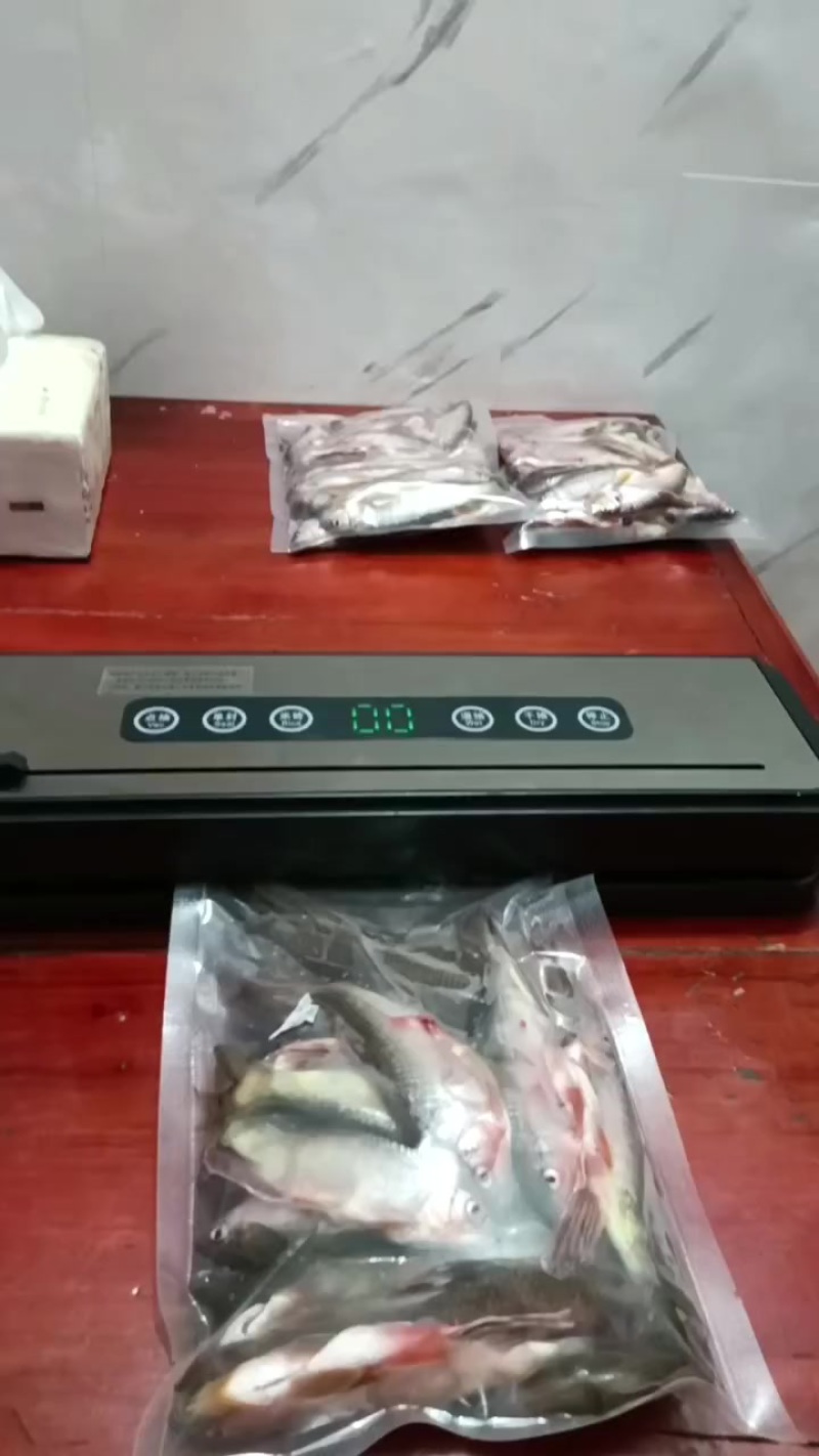 精品冰鲜桃花马口