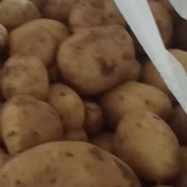 沃土冷库货