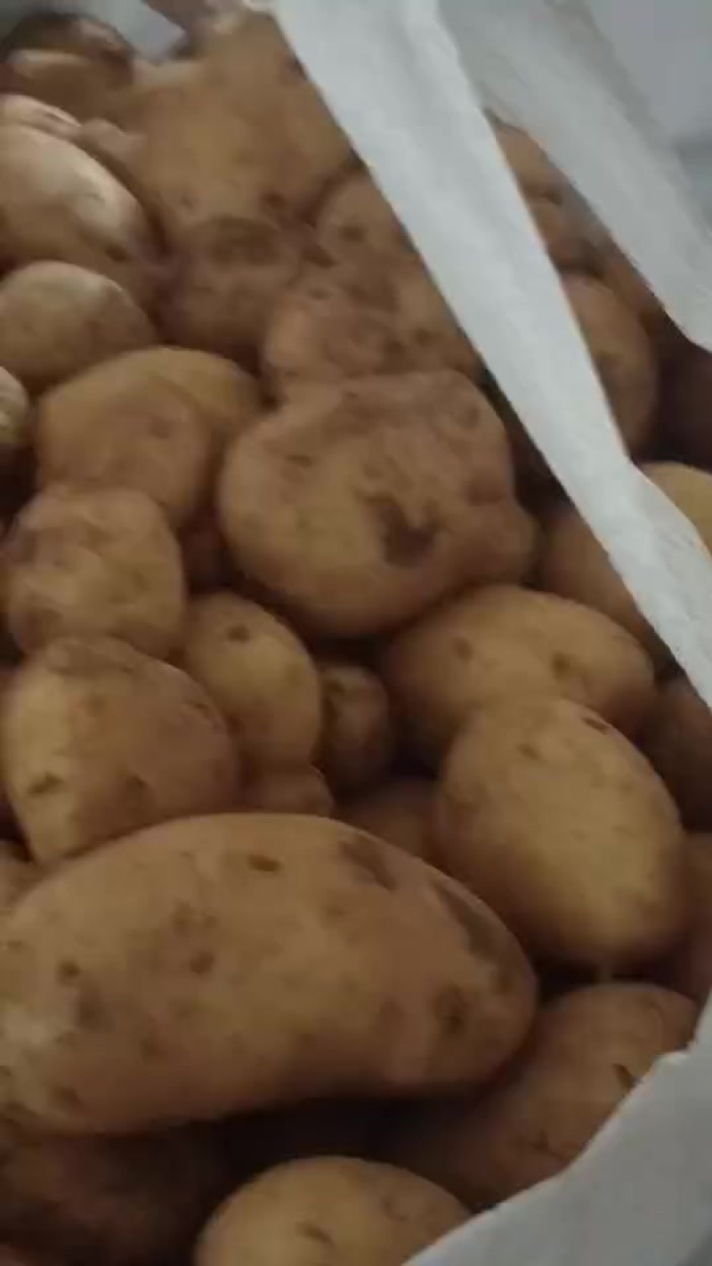 沃土冷库货