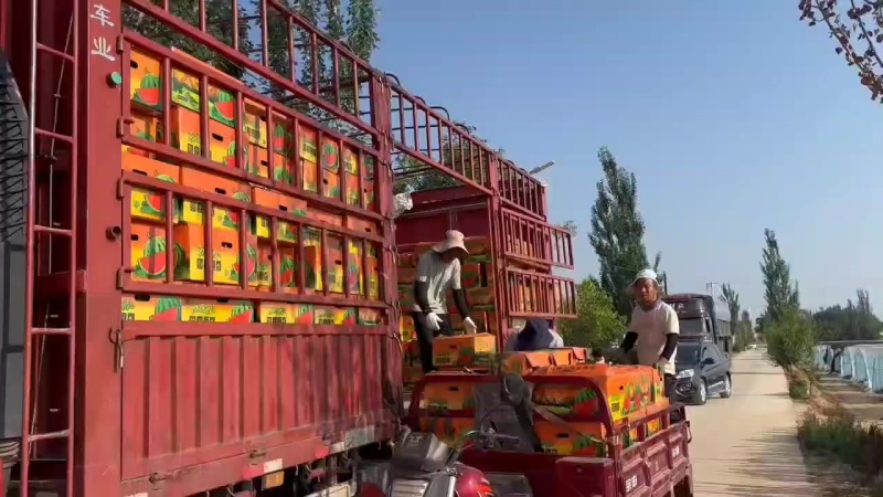 精品麒麟（就这味儿品牌专用箱五颗星）