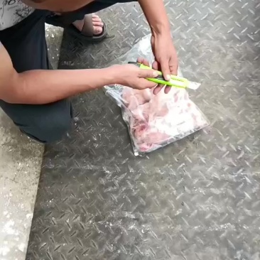 二级鸽子5只装的2000左右只