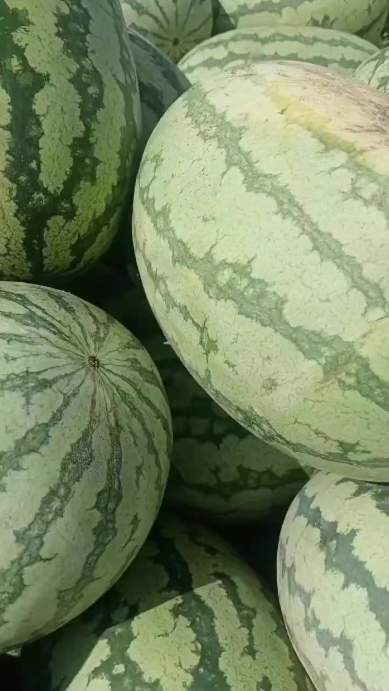 西瓜