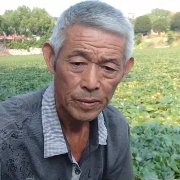 卖菱角