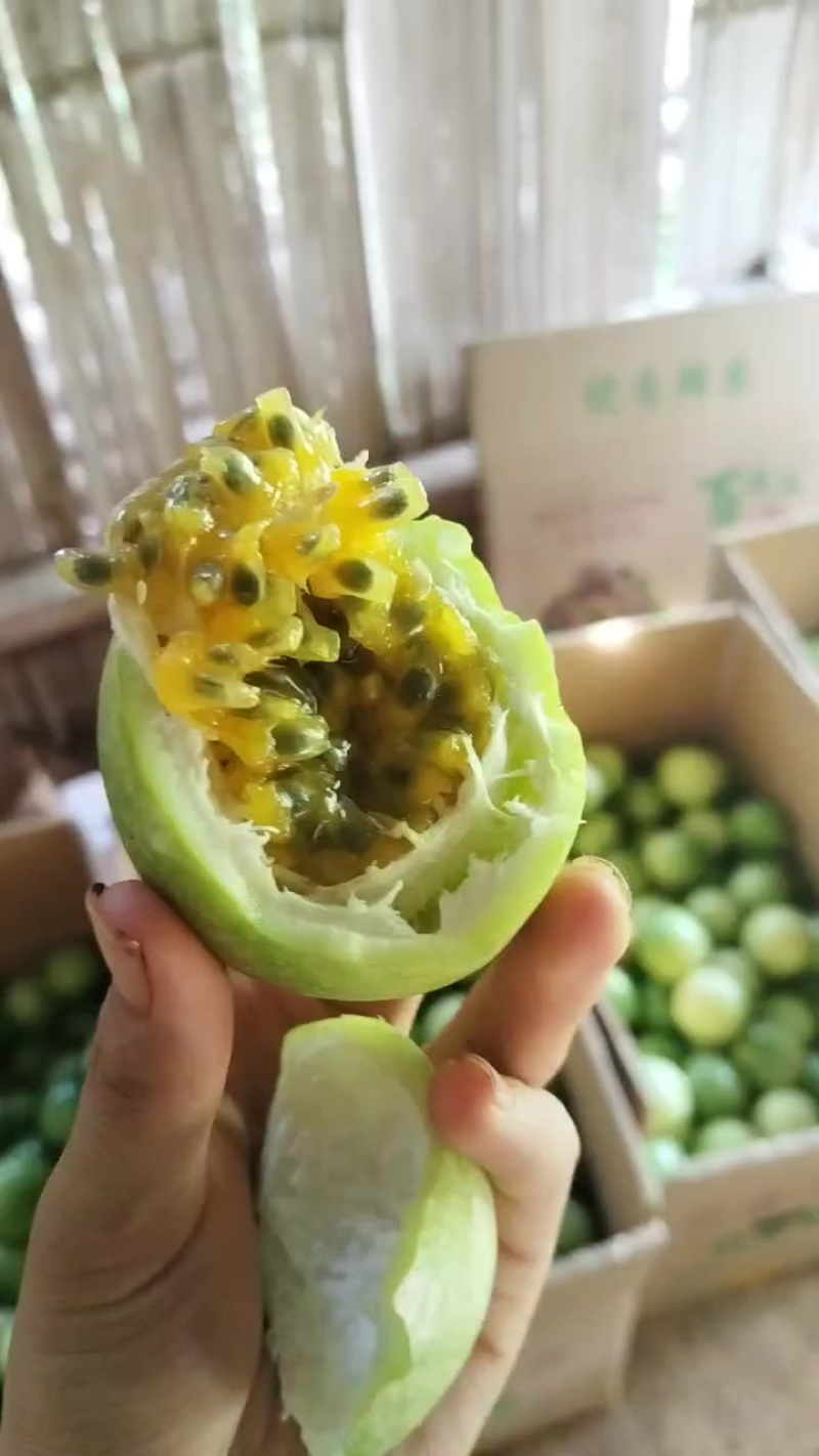 钦蜜9号黄金百香果