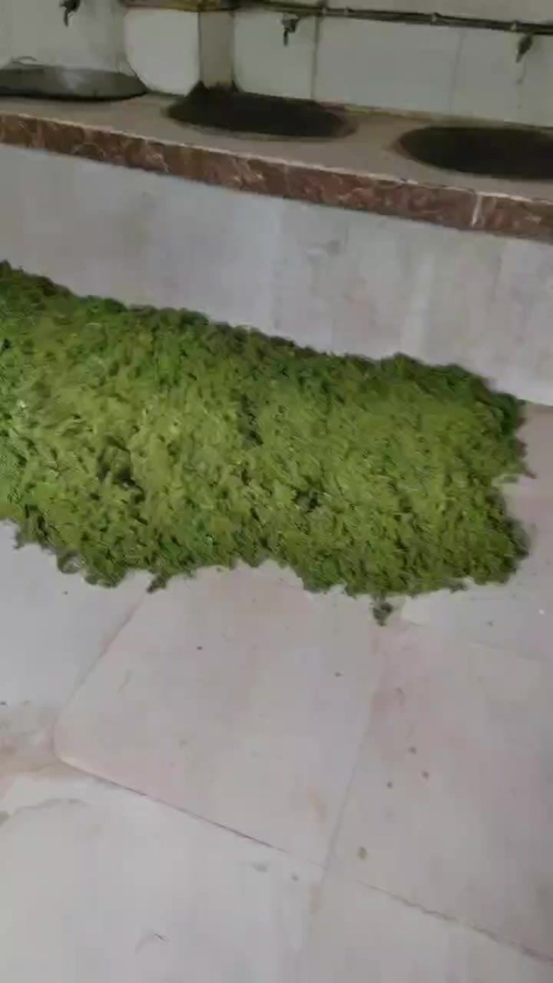 青花椒有老板有想法的联系加微信***********