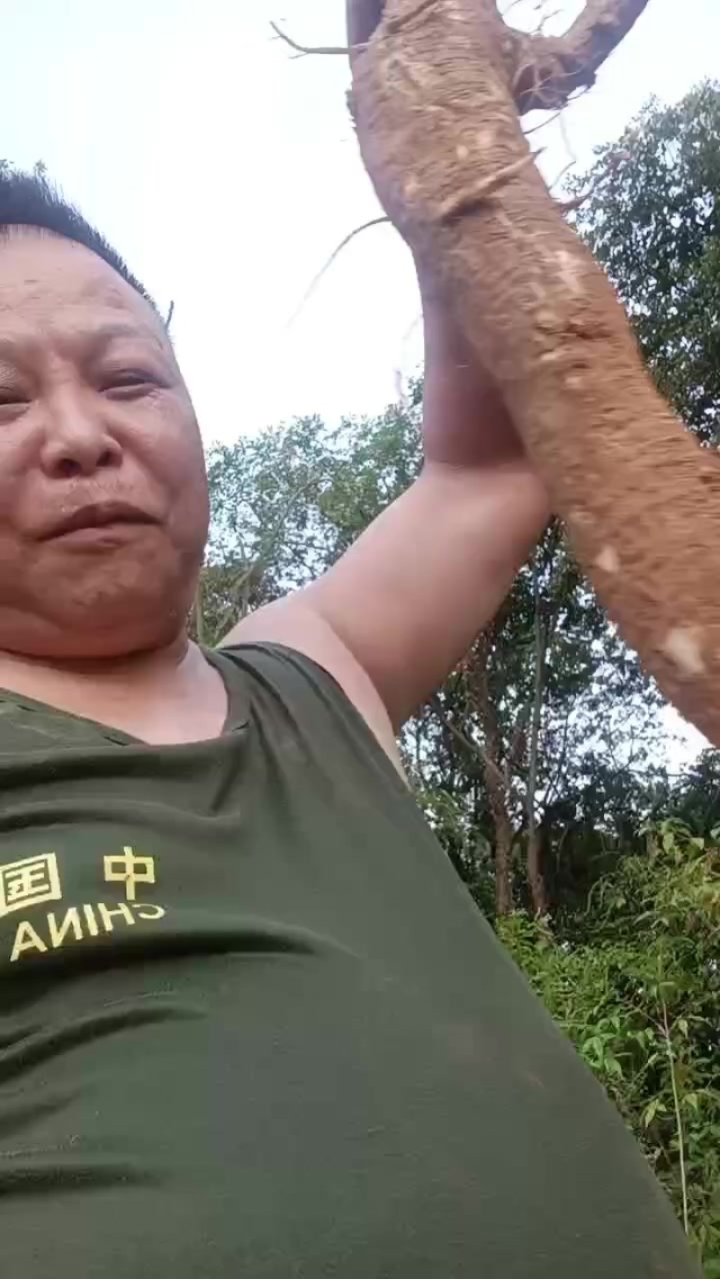 美州锤直商陆，价格可以谈