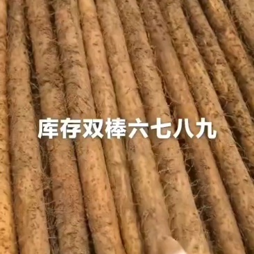双棒大货