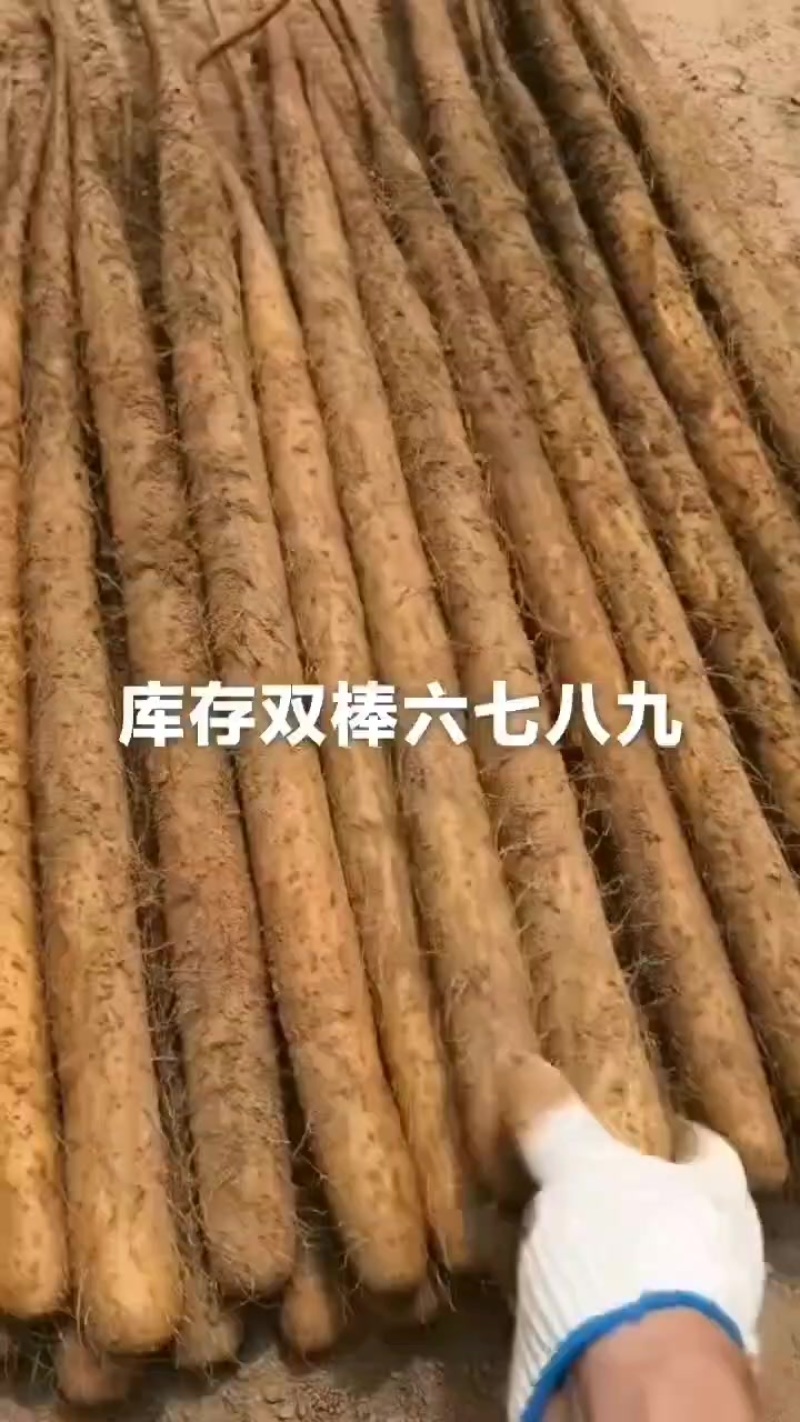 双棒大货