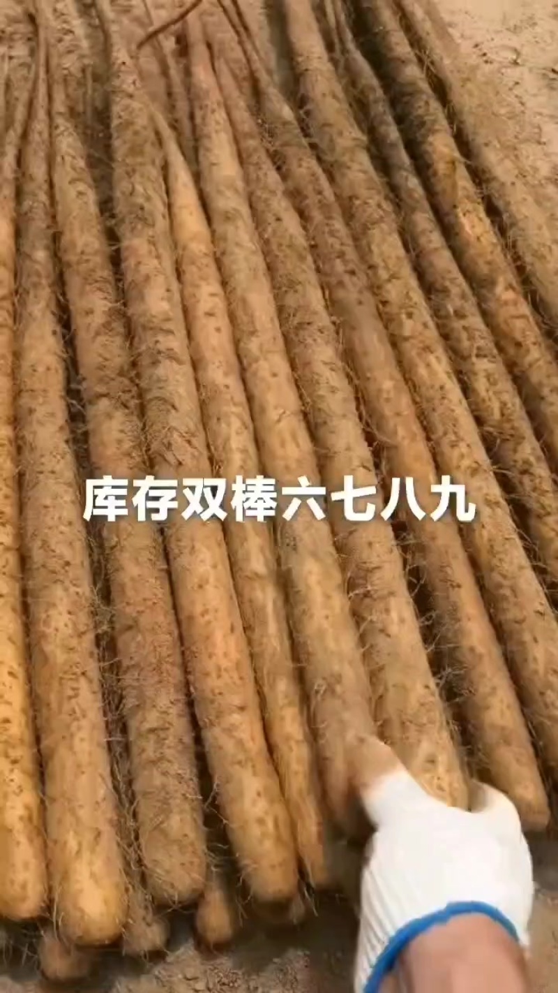 双棒大货