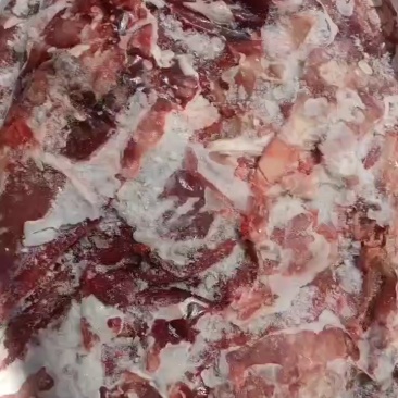 半大牛四分体大块牛肉当月生产