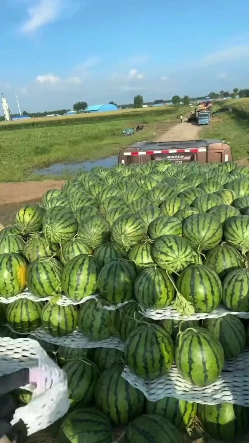 东北地雷代发全国各地