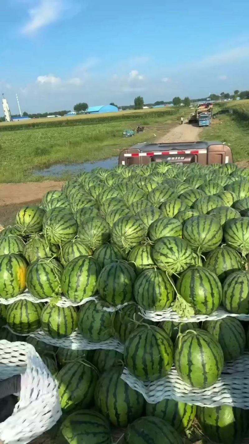 东北地雷代发全国各地