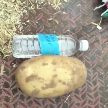 精品沃土随时可出
