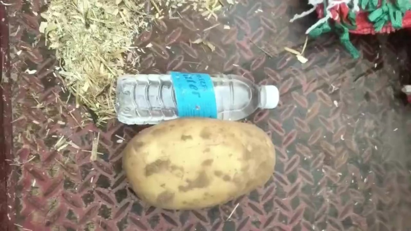 精品沃土随时可出