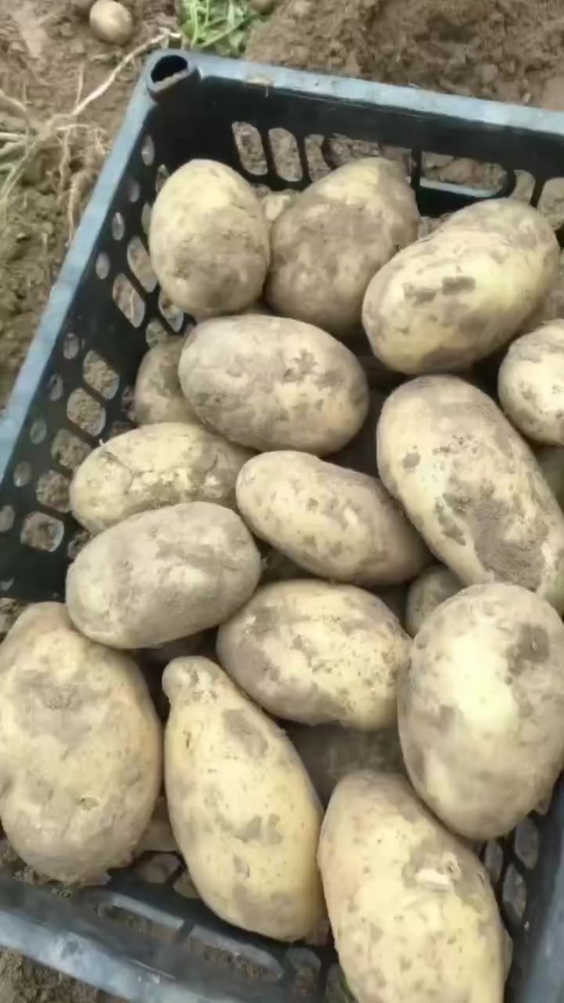 精品沃土随时可出