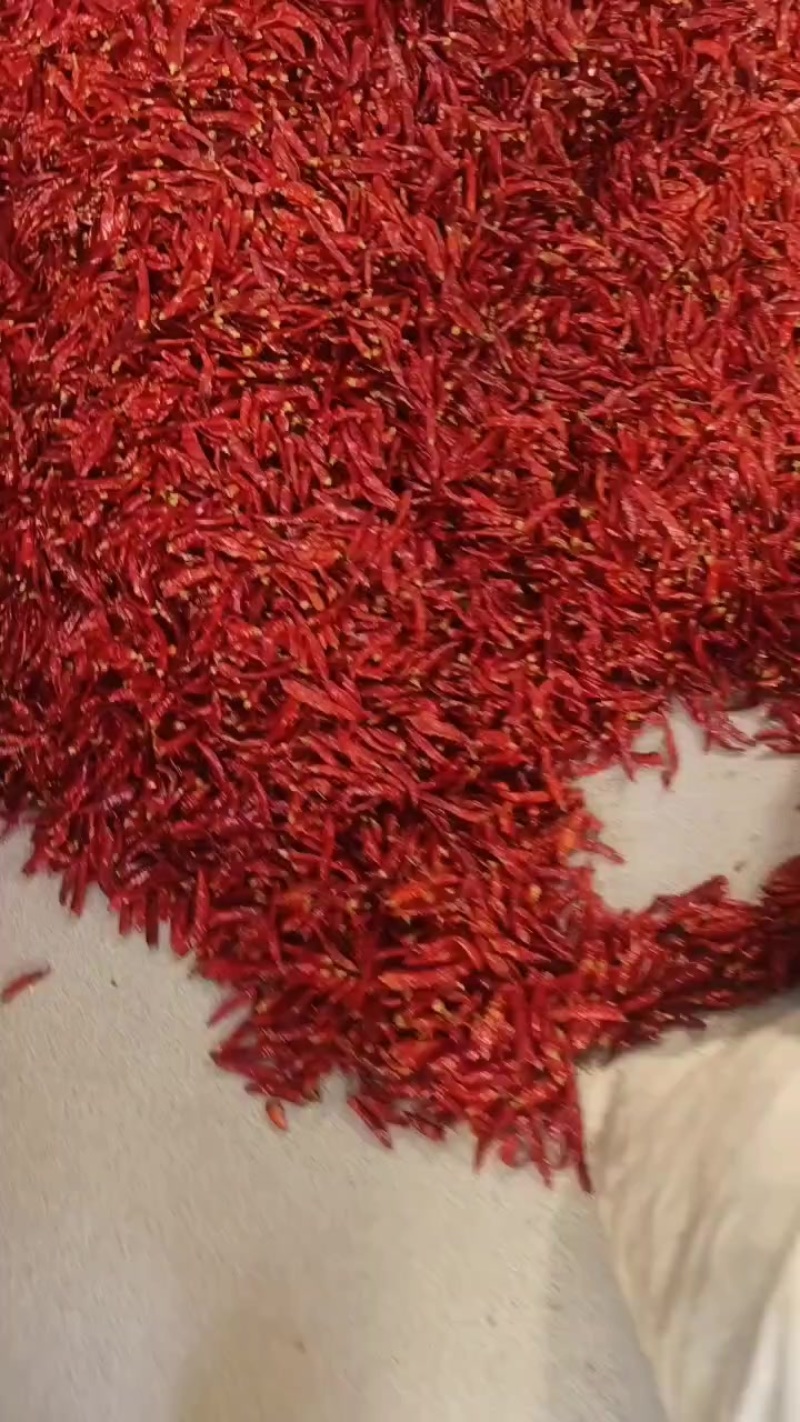 干辣椒，柴火胡辣椒，糍粑辣椒需要的老板请联系。