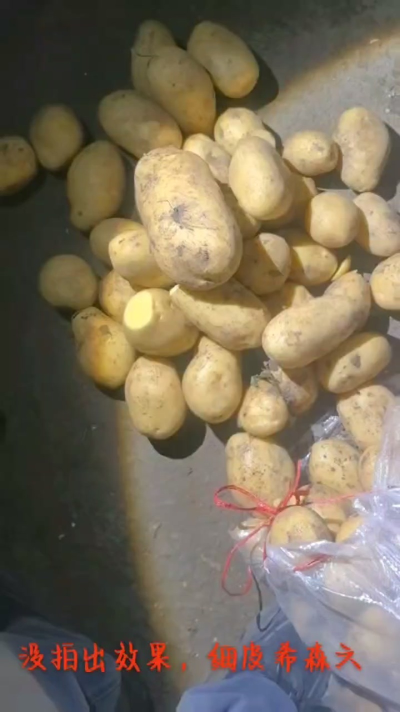 土豆