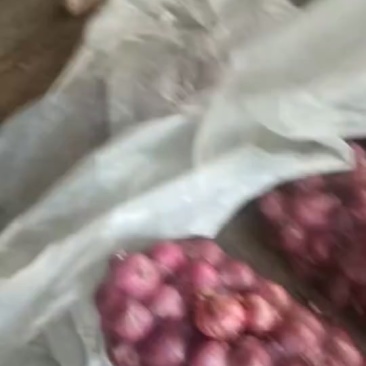 惠民成哥蔬菜水果代发