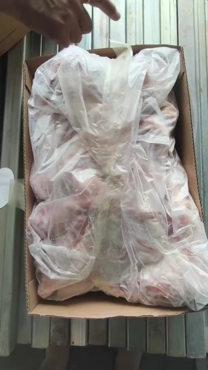 带腱腿骨块