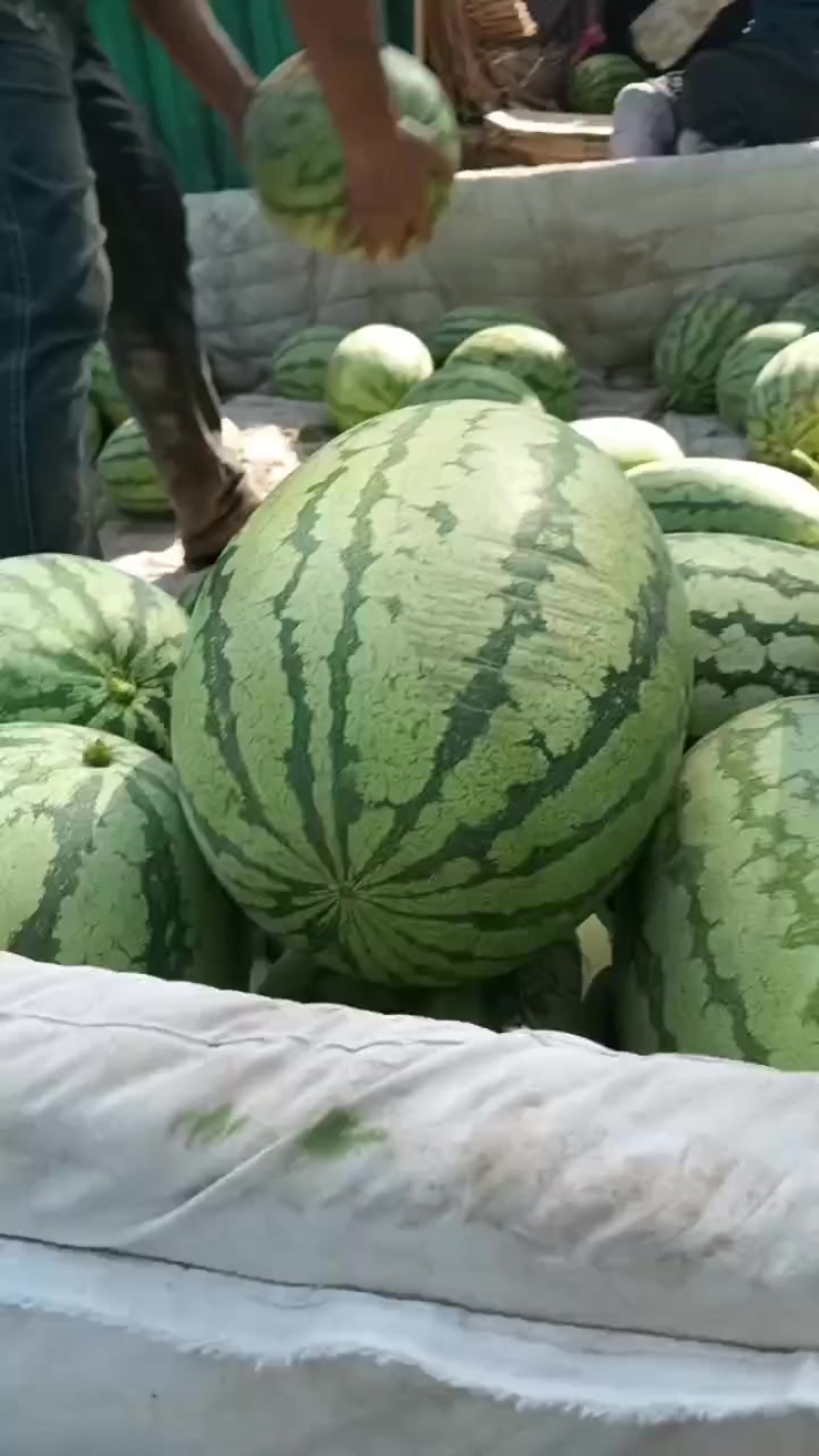内蒙沙漠一号