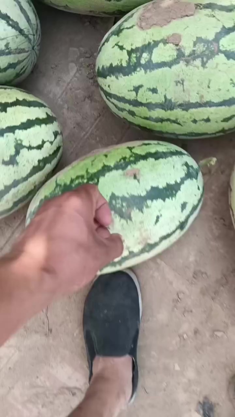 内蒙沙漠一号