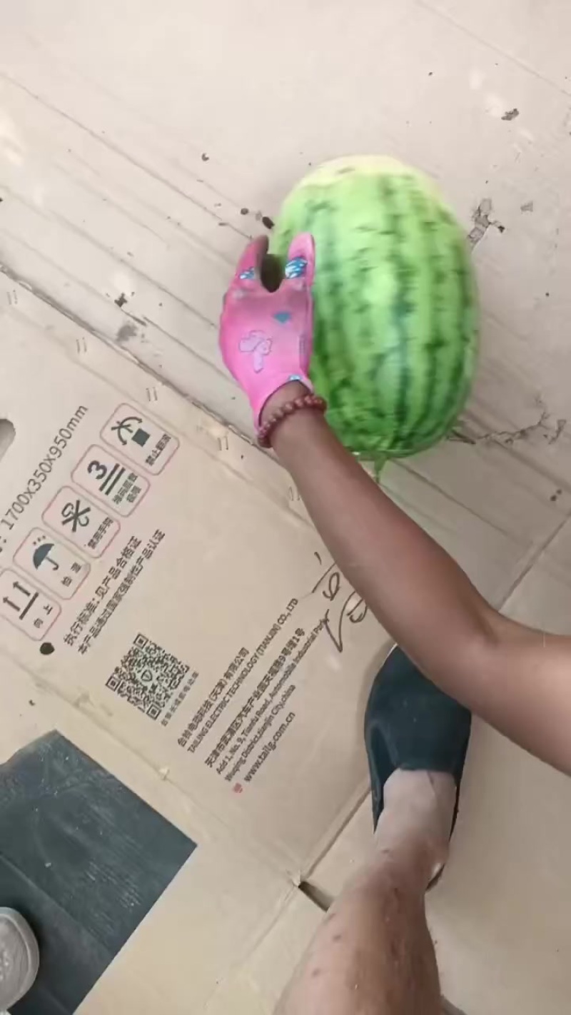 内蒙沙漠一号