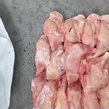二级种母鸡排腿三吨