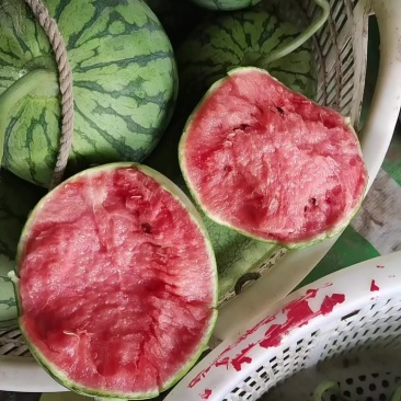 口口脆