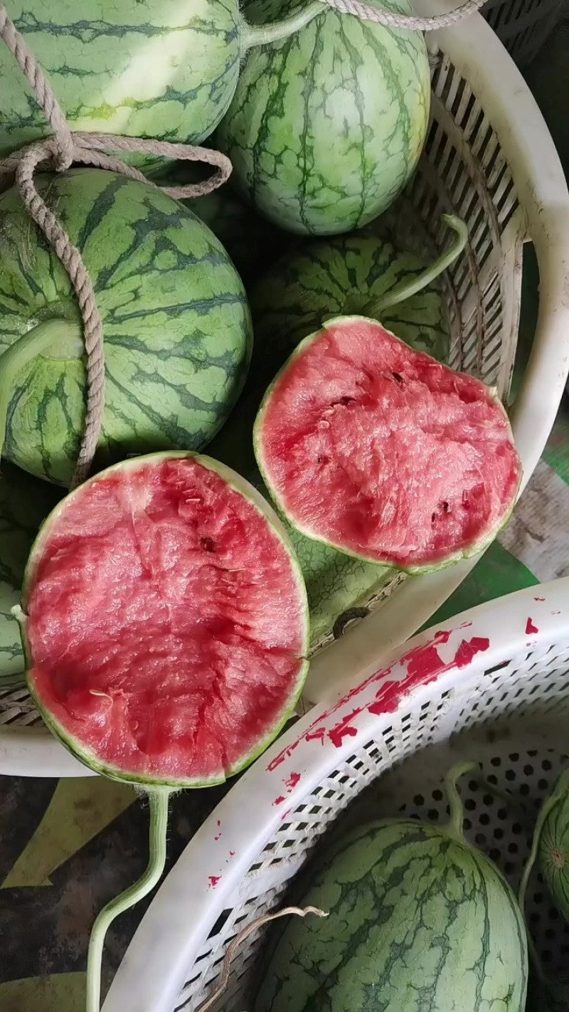 口口脆