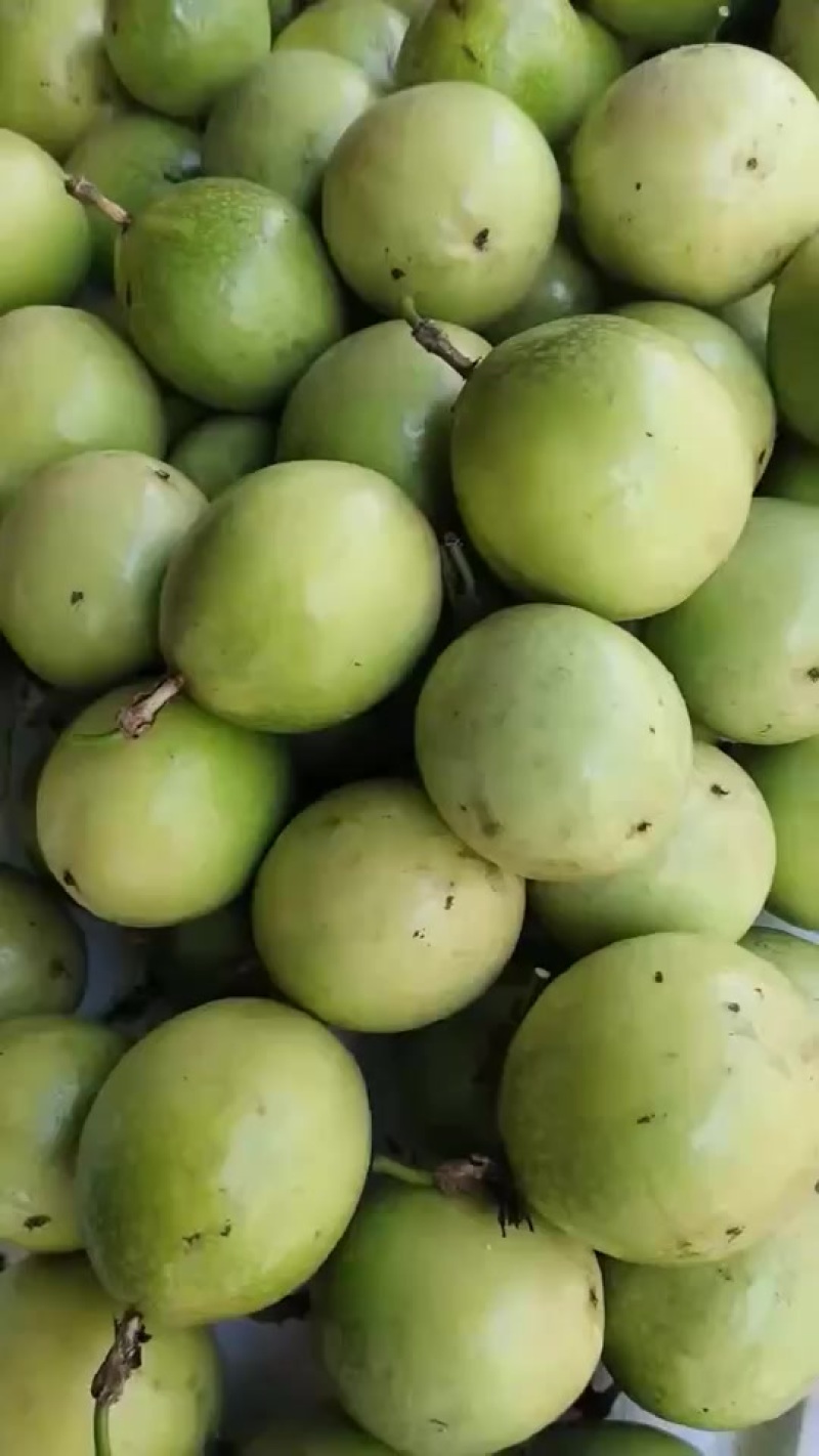 黄金百香果