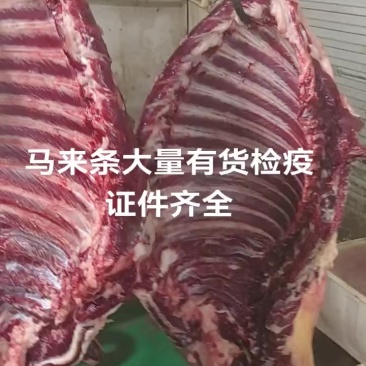 驴肉马肉检疫证件齐全小孬驴马屠宰厂