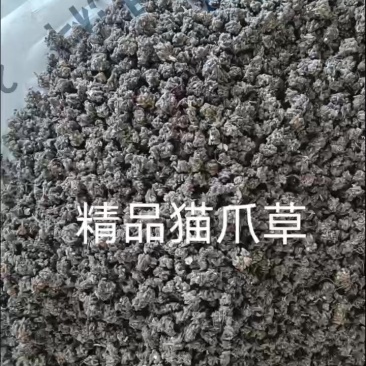 自家种植药食同源猫爪草，无农残