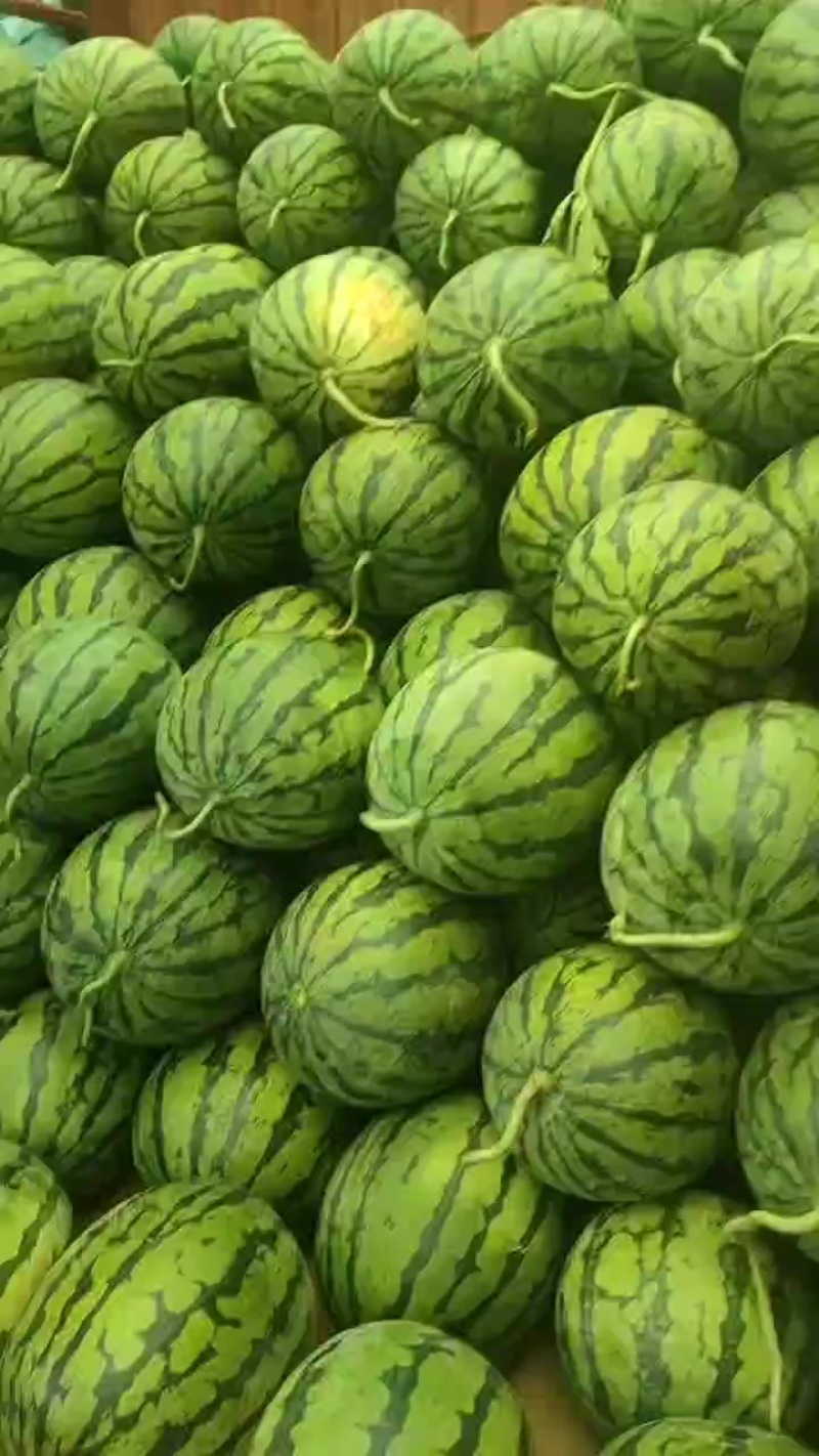 美都西瓜