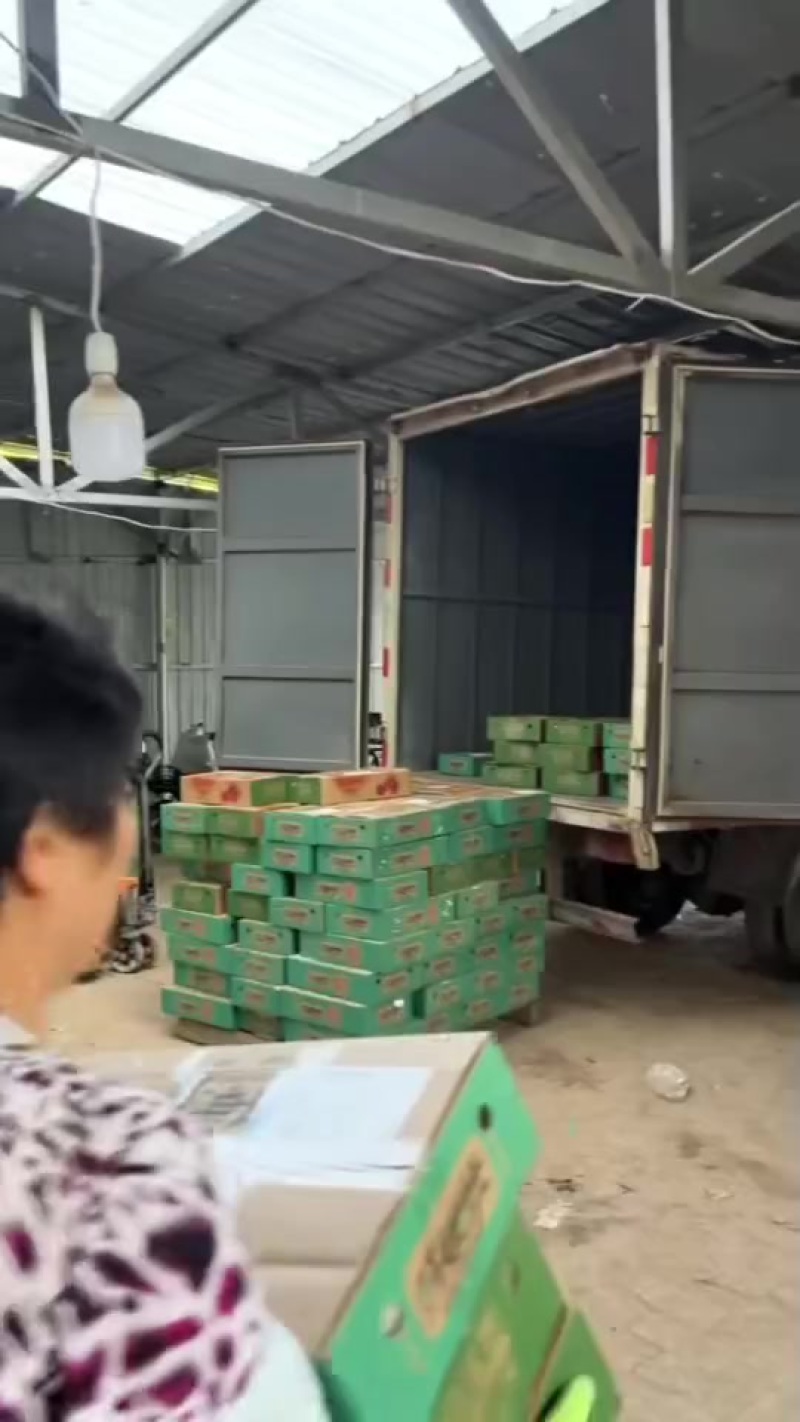 珍珠枣油桃大量上市脆甜脆甜，有需要的老板联系，对接平台，