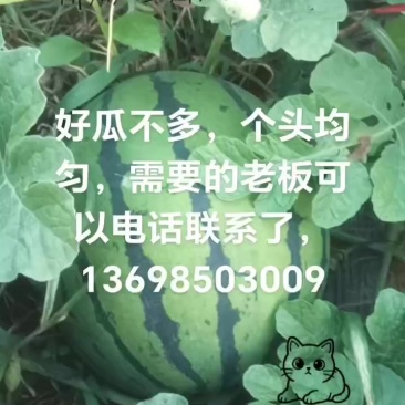 精品美都