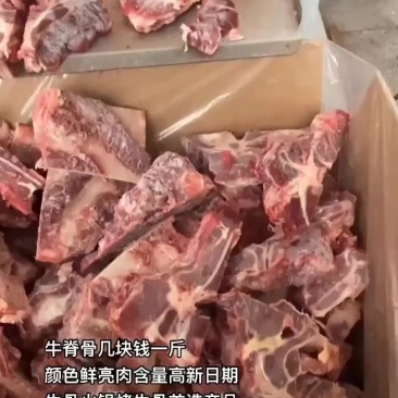 牛脊骨几块钱一斤