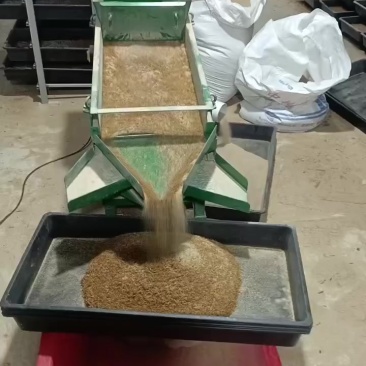 寻求买黄粉虫老板