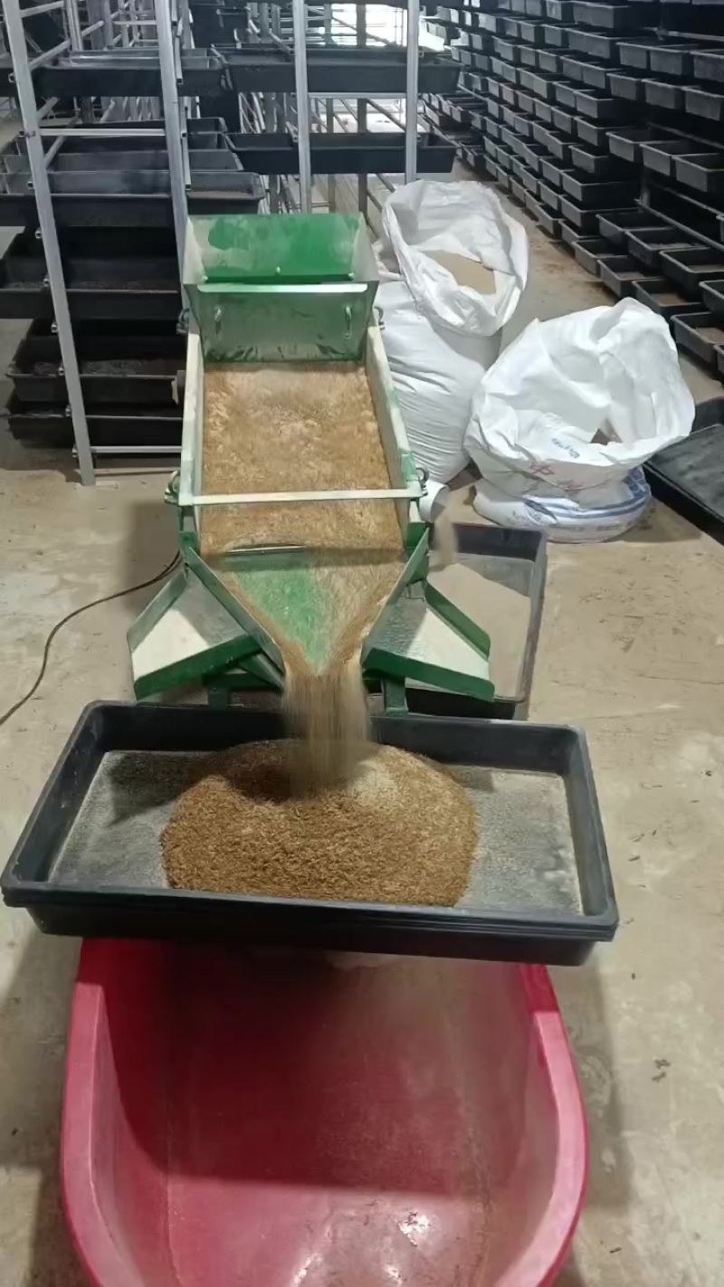 寻求买黄粉虫老板