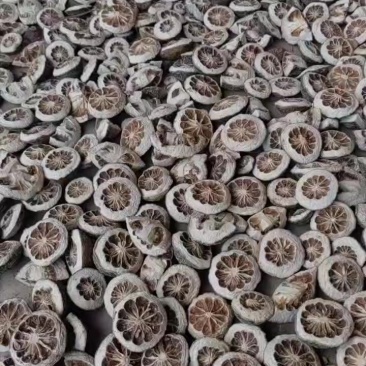 干枳壳