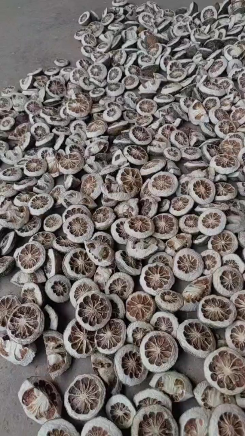 干枳壳