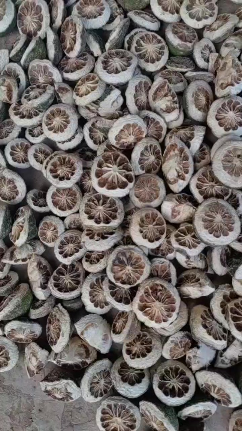 干枳壳