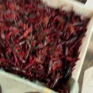 小龙虾批发特价大量有货