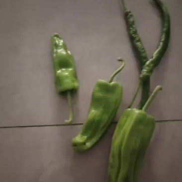 辣椒