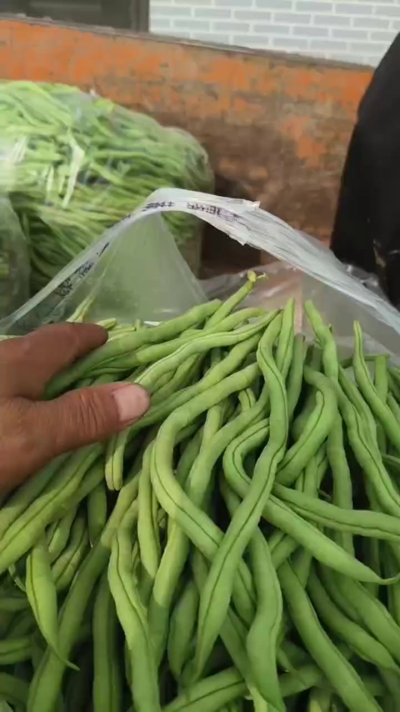 无丝豆