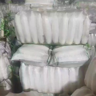 精品白萝卜