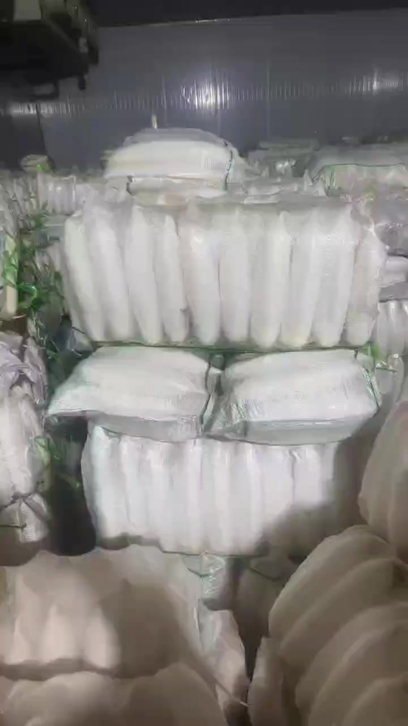 精品白萝卜